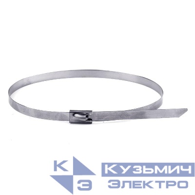 Хомут кабельный 4.6х300 нерж. сталь AISI 304 серебр. (уп.50шт) DKC 27406