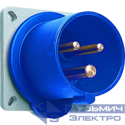 216 BAU6W  Вилка панельн. 16A,2P+E,IP67 6H 2CMA166678R1000