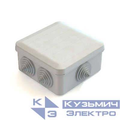 Коробка распаячная для наружного монтажа 100х100х50мм IP55 6 гермовводов с защелк. крышкой CHINT 8820014