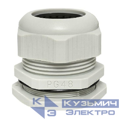 Сальник PG48 IP54 отв. d59мм провод d37-44мм (уп.1шт) PROxima EKF plc-pg-48-1-r