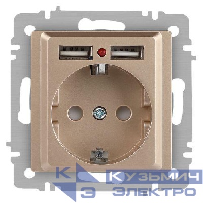 Розетка 1-м СП Accent 6-410-04 16А IP20 250В P+E Schuko + 2хUSB защ. шторки шампань Intro Б0063696