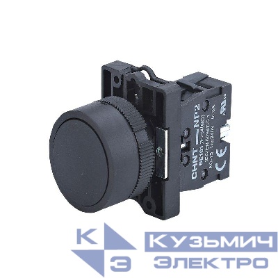 Кнопка управления NP2-EA25 без подсветки 1НО+1НЗ IP40 (R) черн. CHINT 574090