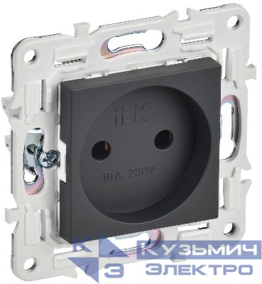 Розетка SKANDY 10А без заземл. без защ. шторок SK-R02T титан IEK SK-R10-10-K48