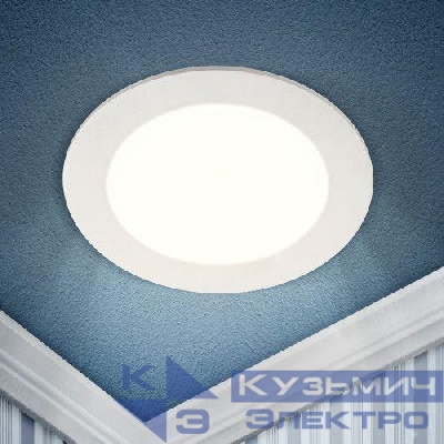 Светильник светодиодный 1-24-4K 24Вт 220В 4000К круглый Эра Б0019460