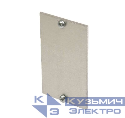 Заглушка торцевая для TM21061-8 алюм. Simon Connect TMA204404-8