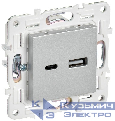 Розетка USB A+C 3.1А SKANDY SK-R14S серебр. IEK SK-U22-D31-K23