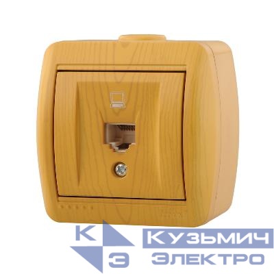 Розетка компьютерная 1-м ОП Nata RJ45 ольха LEZARD 710-0700-139