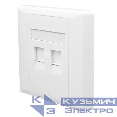 Панель лицевая 2 порта 80х80 Keystone шторка SUPRLAN 10-0334