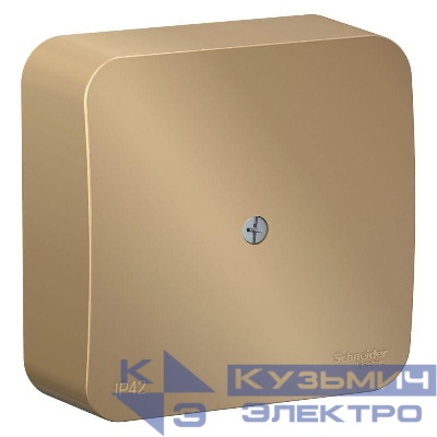 Коробка распределительная ОП Blanca IP42 титан SE BLNRK000014