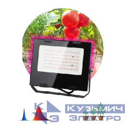 Прожектор светодиодный для растений FITO-50W-RB-LED 50Вт IP65 для цветения и плодоношения красно-синего спектра ЭРА Б0046368