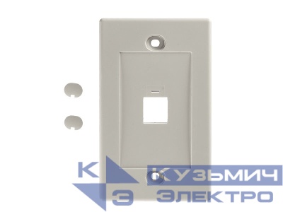 Накладка для внутренней розетки RJ45 / 1 порт / белая РАСПРОДАЖА