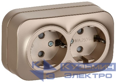 Розетка 2-м ОП GLORY РСш22-3-ХШм 16А с заземл. защ. шторки шампань матов. IEK ERH24-K37M-16