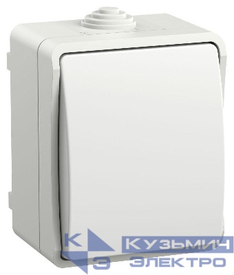 Выключатель кнопочный 1-кл. ОП Форс IP54 ВСк20-1-0-ФБ бел. IEK EVS13-K01-10-54-DC