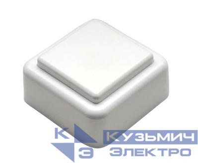 Кнопка звонка (выключатель для бытовых электрич. звонков) МОНОМАХ ВЗ1-01 бел.