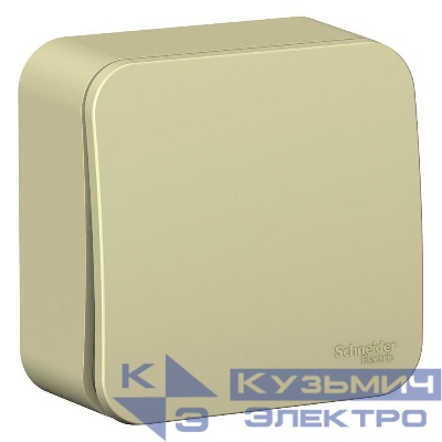 Выключатель 1-кл. ОП Blanca 10А IP20 (сх. 1) 250В с изолир. пластиной беж. SE BLNVA101017