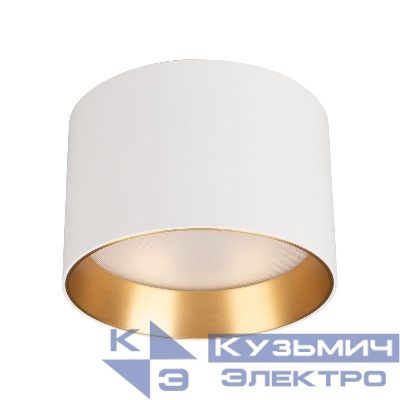 Светильник светодиодный SP-BISCOTTO-R120-12W Warm3300-MIX WH-GD 80deg 230В IP54 12Вт 3300К метал. Arlight 054914