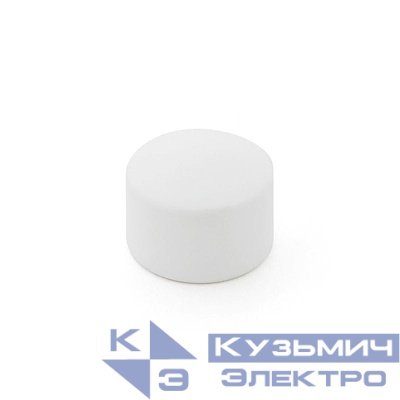 Заглушка PPR 25 PN25 бел. RTP 10549