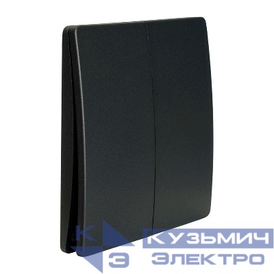 Выключатель дистанционного управления 2-кл. TM92 IP65 7мВт графит FERON 51024