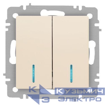 Выключатель 2-кл. СП Accent 6-105-02 10А IP20 250В с подсветкой AL/CU сл. кость Intro Б0063509