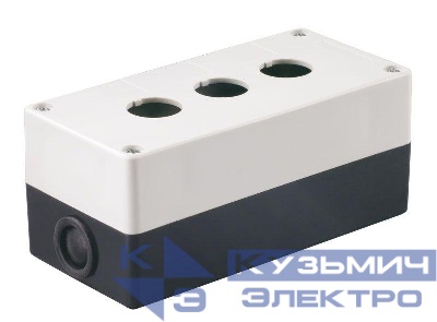 Корпус КП 103 3-м для кнопок IEK BKP10-3-K01