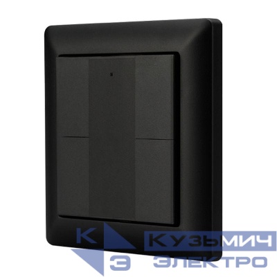 Панель DALI-223-4K-D2-IN-BLACK (BUS Free purpose) INTELLIGENT ARLIGHT 032502