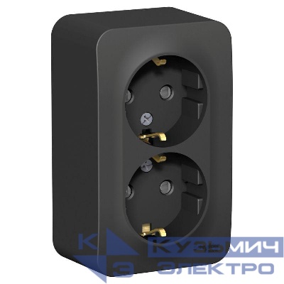 Розетка 2-м ОП Blanca 16А IP20 250В с заземл. защ. шторки антрацит SE BLNRA011206