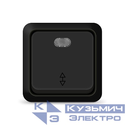 Переключатель проходной 1-кл. ОП Олимп 10А IP20 с подсветкой черн. Universal 2211