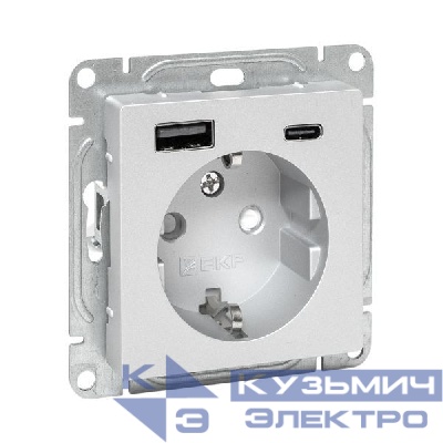 Розетка СП Эпика 16А с 2 USB-A+С с заземл. защ. шторки механизм алюм. EKF UP1-SOA-111-USBA+USBC