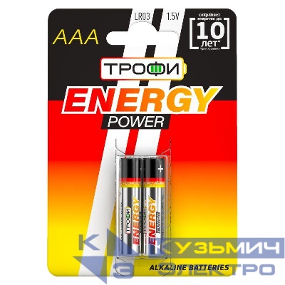 Элемент питания алкалиновый AAA/LR03 LR03-2BL (блист.2шт) Трофи C0034929
