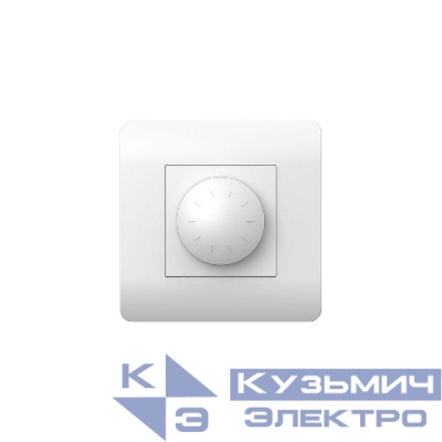 Светорегулятор NEW3-E 500Вт бел. CHINT 431532