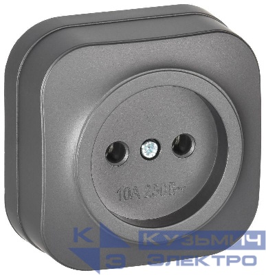 Розетка ОП GLORY РС20-2-ХСм 10А без заземл. без защ. шторок сталь матов. IEK ERH10-K46M-10