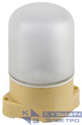 Светильник для бани НББ 01-60-007 пластик/стекло прямой IP65 E27 max 60Вт 137х107х84 сосна Эра Б0062262