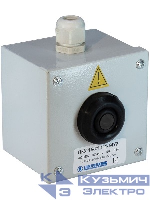 Пост кнопочный ПКУ 15-21.111-54 У2 (ВК30-10-11110-54 (1з+1р) черн. + PG-13.5) Электротехник ET054440