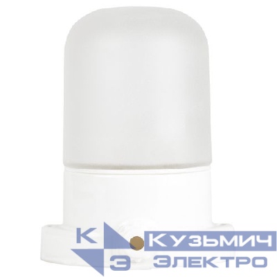 Светильник НББ 02-60-001 для бани керамика/стекло прямой IP54 E27 max 60Вт 135х110х85 бел. Эра Б0064005