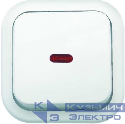 Выключатель 1-кл. ОП Валентина 10А IP20 А16-054 с индикацией бел. Кунцево 7632