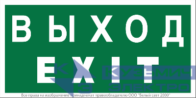 Знак безопасности NPU-2714.E24: "Выход-EXIT" Белый свет a9781