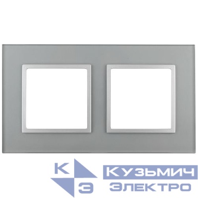 Рамка 2-м 14-5102-03 стекло Elegance алюм.+алюм. ЭРА Б0034490