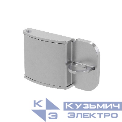 Накладка для навесного замка d11мм DKC CN5PDL