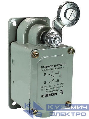 Выключатель конечн. ВК-200 БР11-67У2-11 Электротехник ET502888