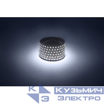 Лента светодиодная LS2835 -9.6-120-12-6500K-IP20-1 year-50m холод. бел. (уп.50м) Эра Б0059925