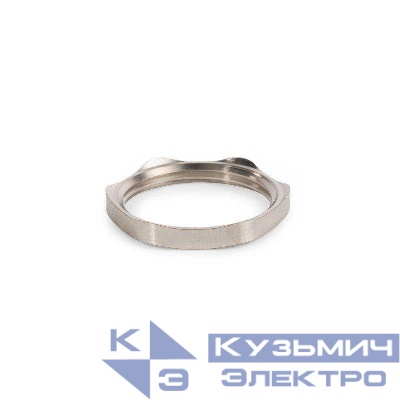 Гайка латунная заземляющая Г3-М25 (уп.50шт) Fortisflex 88239
