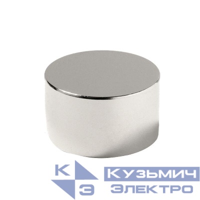 Магнит неодимовый диск 50х20мм сцепление 89кг Rexant 72-3021
