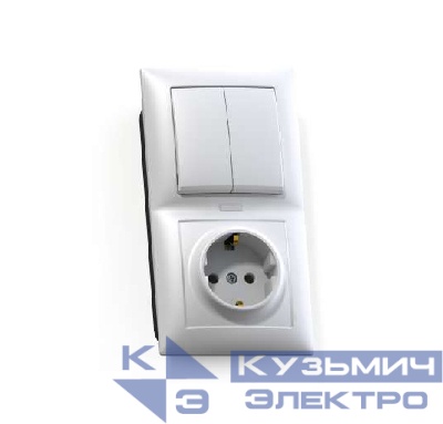 Блок СП БКВР-421 Селена (2-кл. выкл. и индик.+ розетка с заземл.) бел. Кунцево 8217