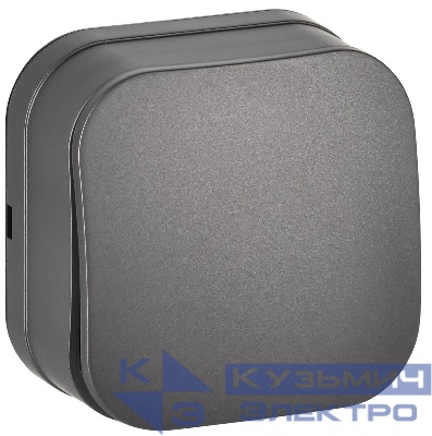 Выключатель 1-кл. ОП GLORY ВС20-1-0-ХСм 10А сталь матов. IEK EVH10-K46M-10