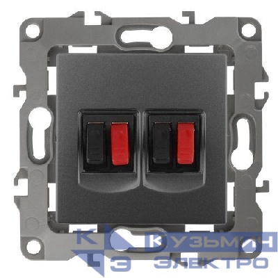Розетка аудио 2мод. 12-3112-12 графит ЭРА Б0027467