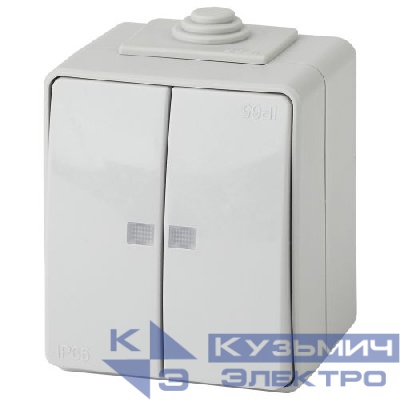 Выключатель 2-кл. ОП Эра Эксперт 10А IP65 11-1605-03 250В 10AX с подсветкой сер. Эра Б0035977