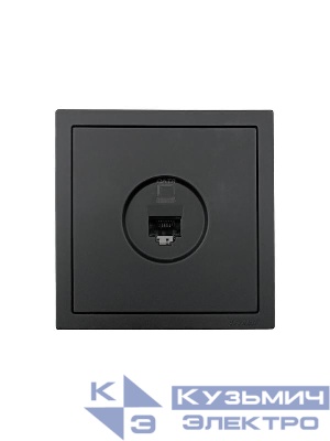 Розетка компьютерная 1-м СП ZIMA IP20 механизм черн. бархат LEZARD 704-4288-140