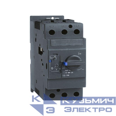 Выключатель автоматический для защиты двигателя NS8-80X E 38-50А (тип А) с поворотной рукояткой CHINT 570079