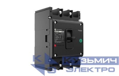 Выключатель автоматический SPD250 2P 50КА 250В пост. ток 3P 50КА 3P TMD250 500В пост. ток SE SPD2502N3N2503D