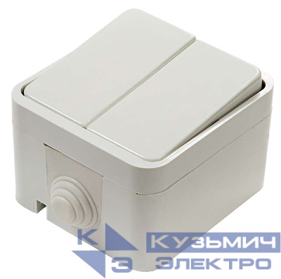 Выключатель 2-кл. ОП Aqua 3200 10А IP44 п/герм. бел. ASD / IN HOME 4690612000435
